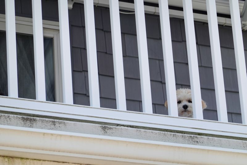 Fence Railing Installation